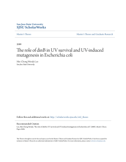 The role of dinB in UV survival and UV