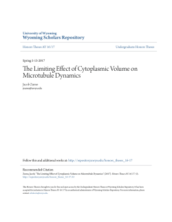 The Limiting Effect of Cytoplasmic Volume on Microtubule Dynamics