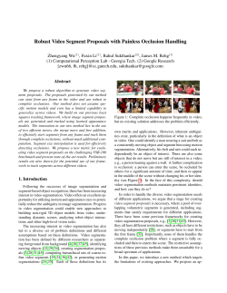 Robust Video Segment Proposals with Painless Occlusion Handling