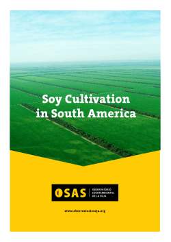 Soy Cultivation in South America