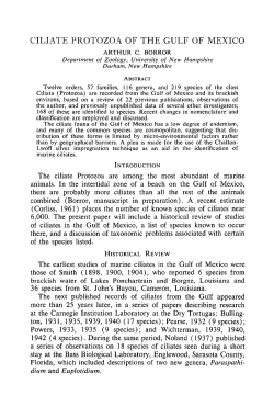 Ciliate Protozoa of the Gulf of Mexico