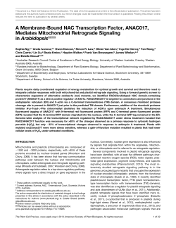 A Membrane-Bound NAC Transcription Factor