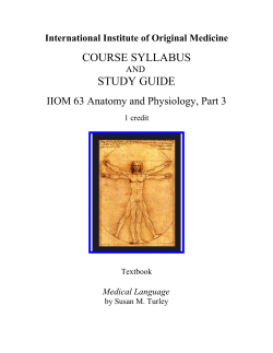 Medical Language - International Institute of Original Medicine