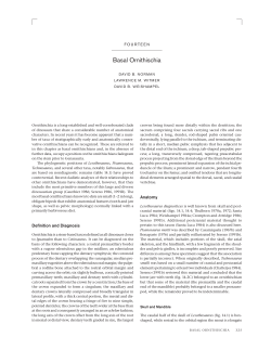 Norman, D. B., L. M. Witmer, and D. B. Weishampel. 2004. Basal