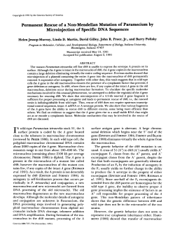 Permanent Rescue of a Non-Mendelian Mutation of