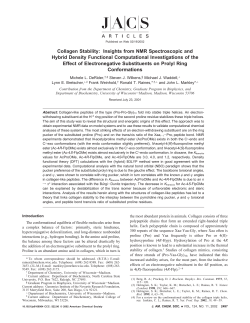 Collagen Stability: Insights from NMR Spectroscopic and Hybrid