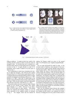 filling air pathway. A straight alveolar duct model is the minimum