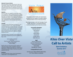 Kites Over Vista Call to Artists