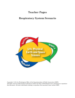Respiratory System Teacher Pages