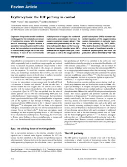 Erythrocytosis: the HIF pathway in control