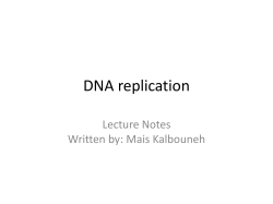 DNA replication