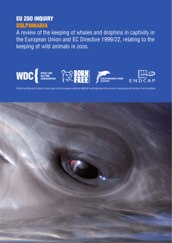 EU ZOO INQUIRY DOLPHINARIA A review of the keeping