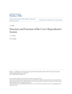 Structure and Function of the Cow`s Reproductive System