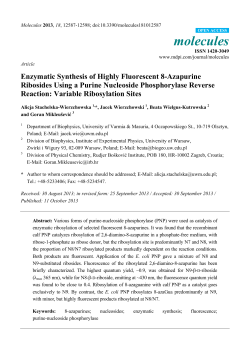 Enzymatic Synthesis of Highly Fluorescent 8