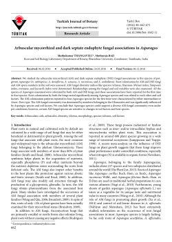 Arbuscular mycorrhizal and dark septate endophyte fungal