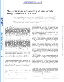 Glucosylceramide synthase in the fat body controls energy
