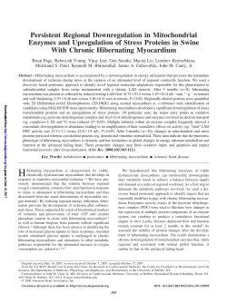 Persistent Regional Downregulation in Mitochondrial Enzymes and