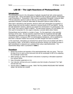 AP Lab 08 - The Light Reactions of Photosynthesis