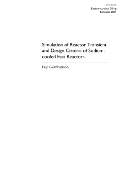 Simulation of Reactor Transient and Design Criteria of Sodium