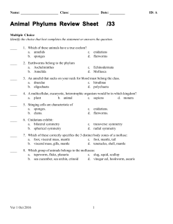 Animal Phylums Review Sheet /33