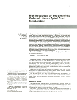 High-Resolution MR Imaging of the Cadaveric Human Spinal Cord: