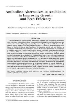 Antibodies: Alternatives to Antibiotics in Improving Growth and Feed