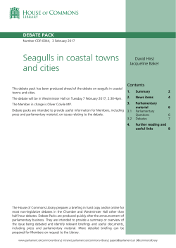 Seagulls in coastal towns and cities