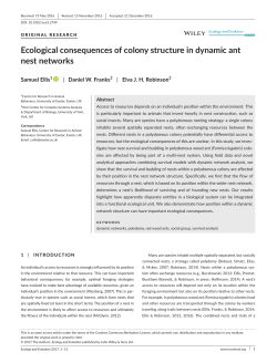 Ecological consequences of colony structure in dynamic ant nest