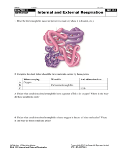 Internal and External Respiration