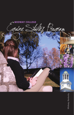 Equine Studies Program