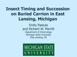 Insect Timing and Succession on Buried Carrion in East Lansing