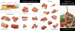 LaMB CuTS - Beef and Lamb New Zealand