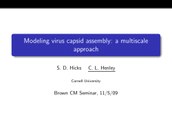 Modeling virus capsid assembly: a multiscale