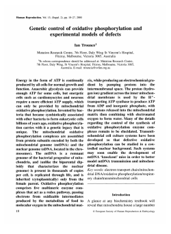 Genetic control of oxidative phosphorylation and