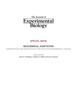 jeb_halftitile 1..1 - Journal of Experimental Biology