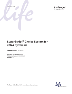 SuperScript&reg; Choice System for cDNA Synthesis