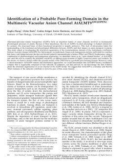 Identiication of a Probable Pore-Forming Domain