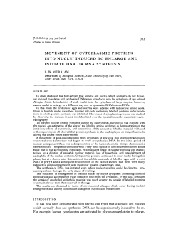 MOVEMENT OF CYTOPLASMIC PROTEINS INTO NUCLEI