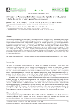 First record of Nocturama