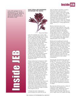 featured - Botany, UBC