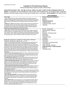 2013 Fungicides for PA Conifer Nursery Diseases