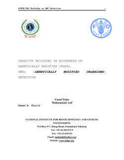Method for detection of Genetically Modified Organisms