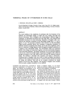 TERMINAL PHASE OF CYTOKINESIS IN D-98S