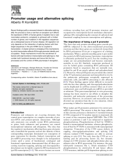 promotere usage and AS Kornblihtt2005 copy