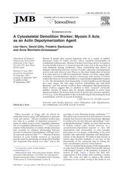 A Cytoskeletal Demolition Worker: Myosin II Acts as an Actin