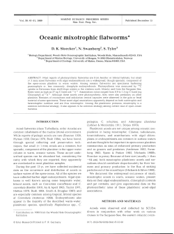 Oceanic mixotrophic flatworms*