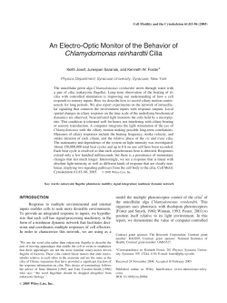 An electro-optic monitor of the behavior of