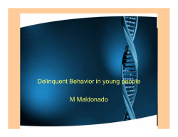 Delinquent Behavior in young people M Maldonado