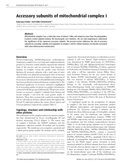 Accessory subunits of mitochondrial complex I