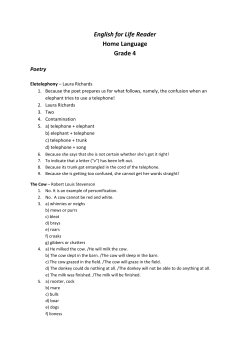 English for Life Reader Gr. 4 Home Language Answers